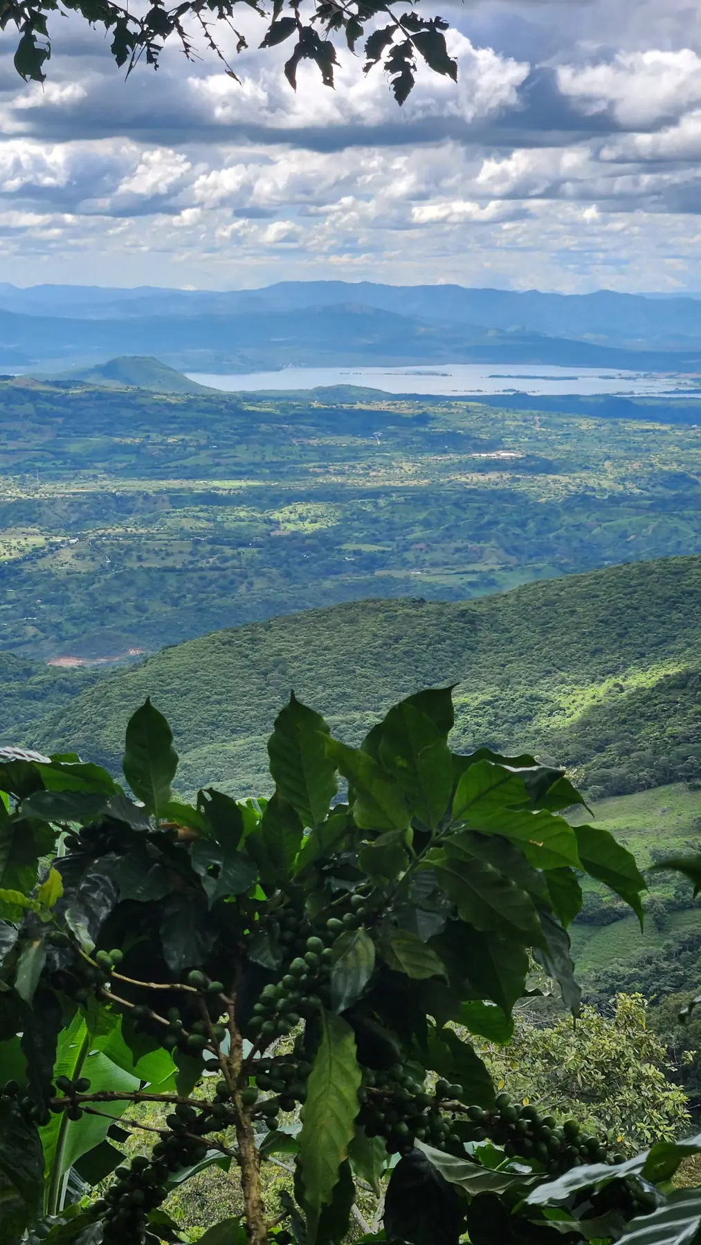 Paisaje montañoso desde la zona cafetalera de Metapán